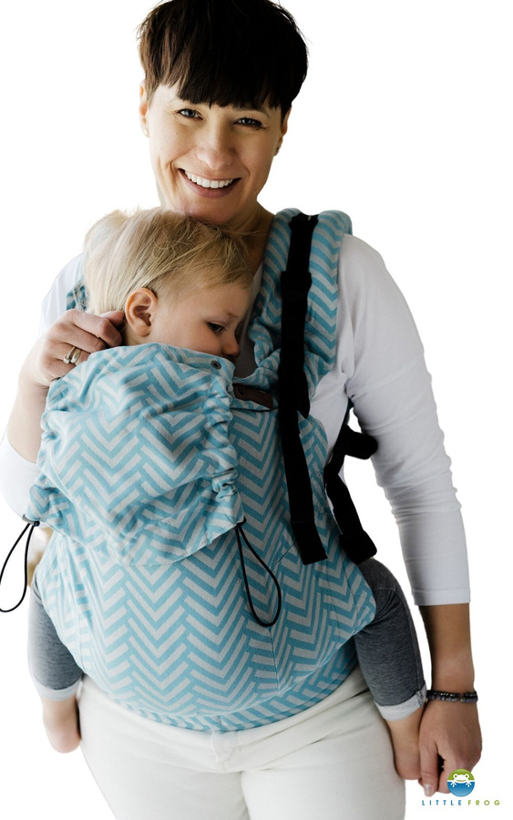 Baby Carrier Preschooler - Horizon Miles