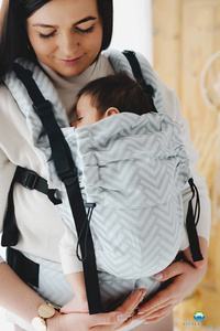 Baby Carrier Prime Platinum Miles