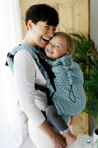 Baby Carrier Preschooler - Horizon Miles