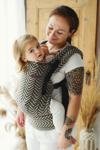 Swift Toddler Carrier - Dragon Miles